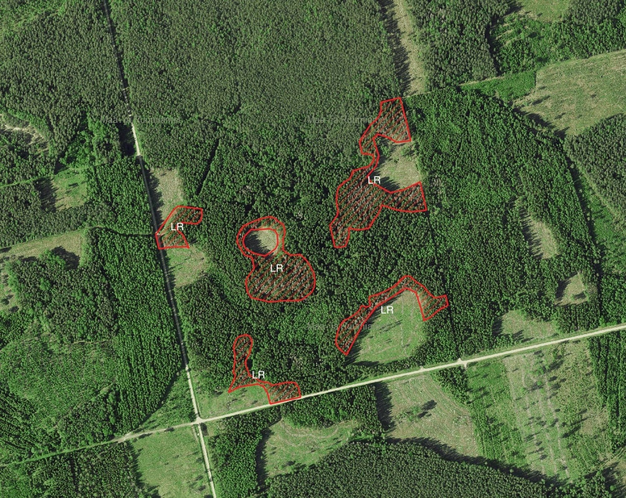 See juhtus taas: ammu määratud looduskaitsealad olid veel eelmisel nädalal RMK lageraie nimekirjades