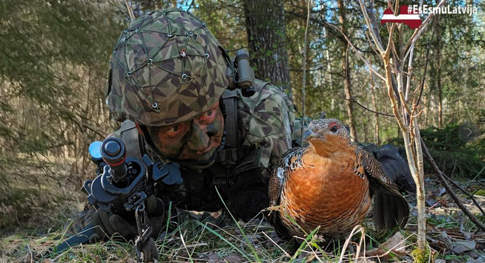 VAHVA VIDEO | „Kui vaenlane hakkab tulistama, lenda peale!“ Läti sõdur õpetab metsisele riigikaitset