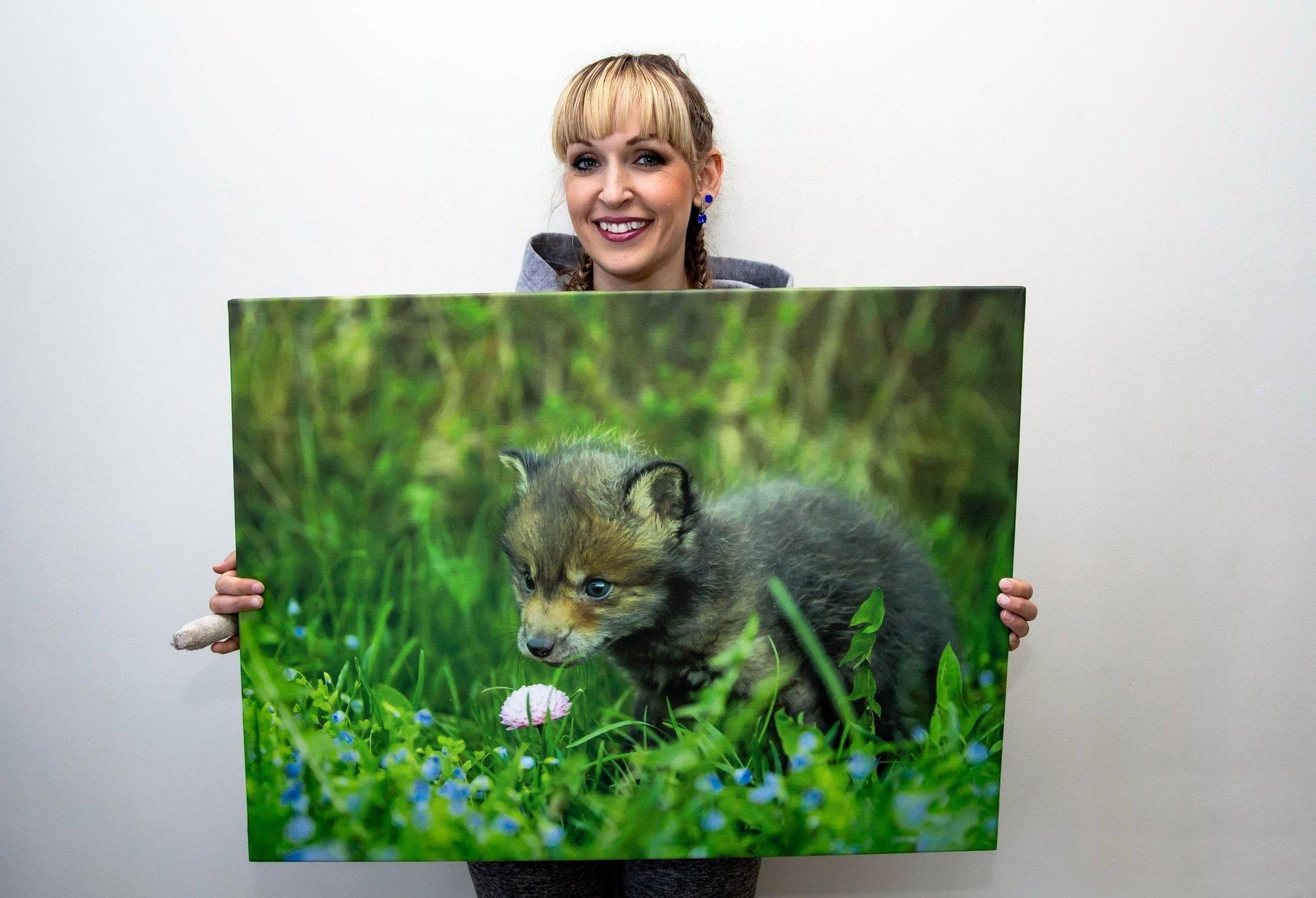 Paku metsloomadele katust! Türile kerkib uus keskus, kus lapsed saavad tutvuda ulukite eluga