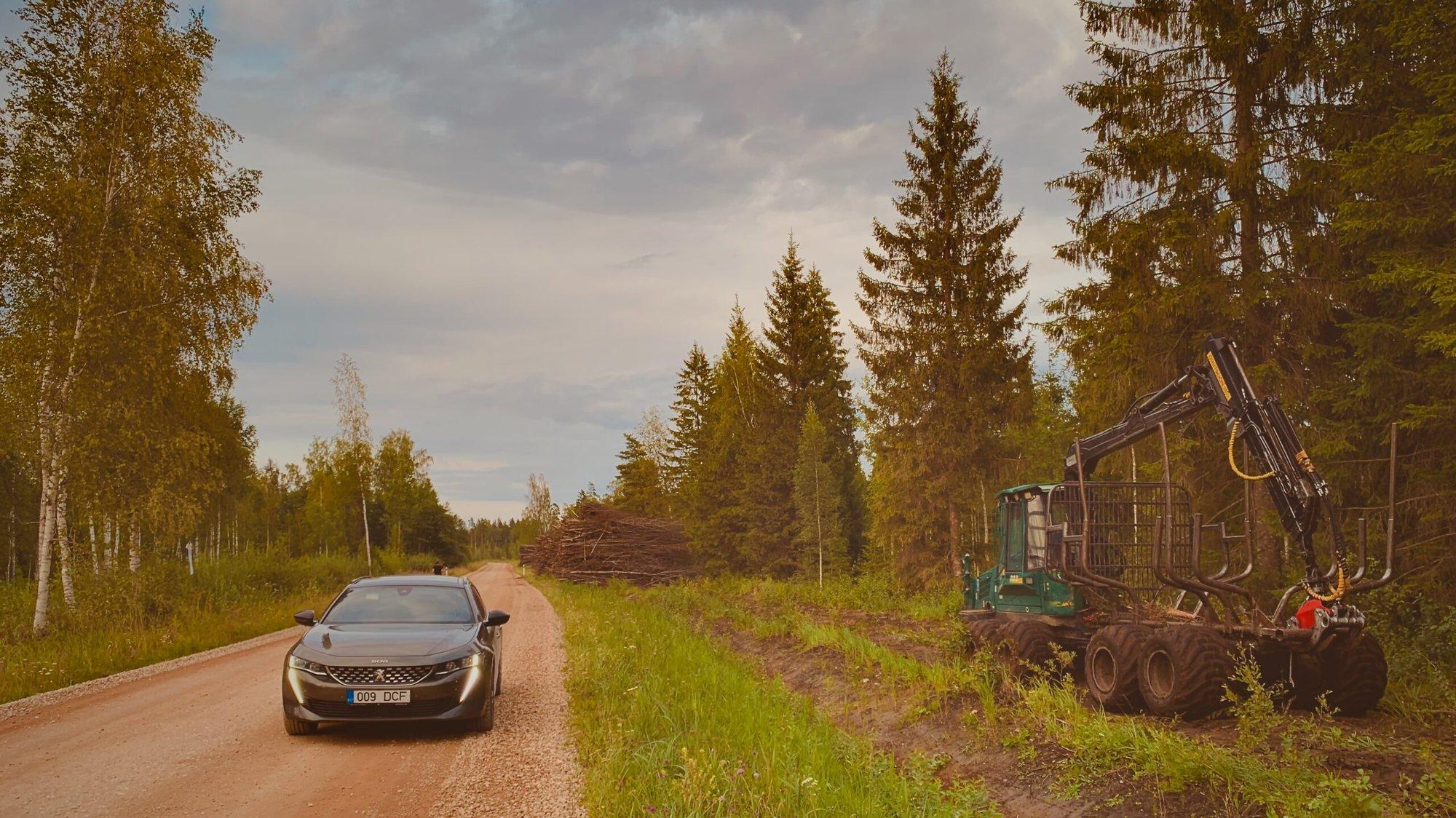 Soome metsandusekspert: teeäärsed kaasikud vähendaksid ulukiõnnetusi