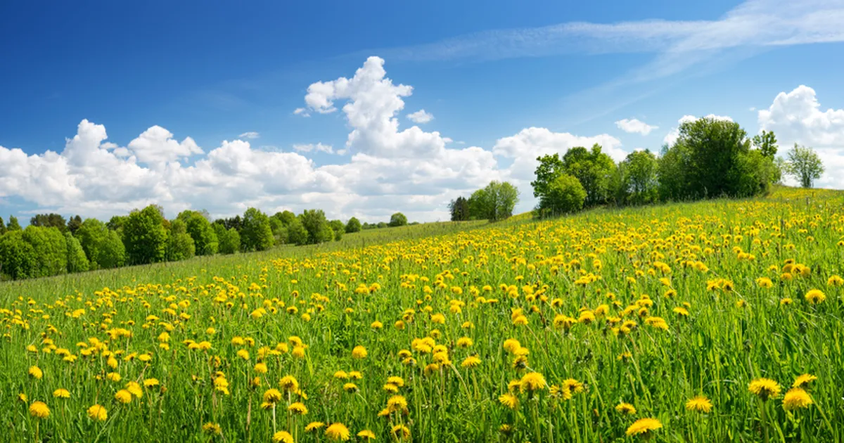 ILM ⟩ Kolmapäeval tuleb kuni 22 kraadi sooja