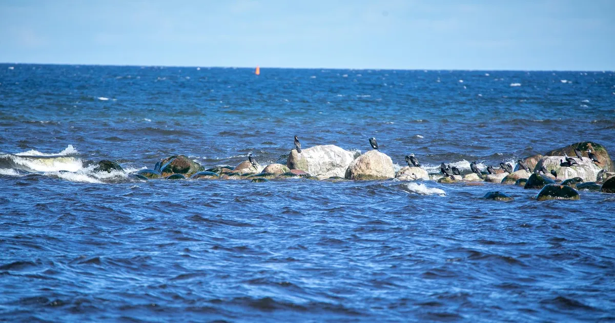 Alutaguse vallas uppus eakas meesterahvas