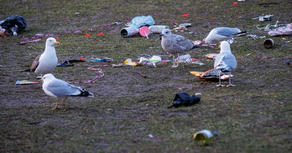 Korralik läbu: volbripidustuste järel on Helsingi kesklinn prügi täis!