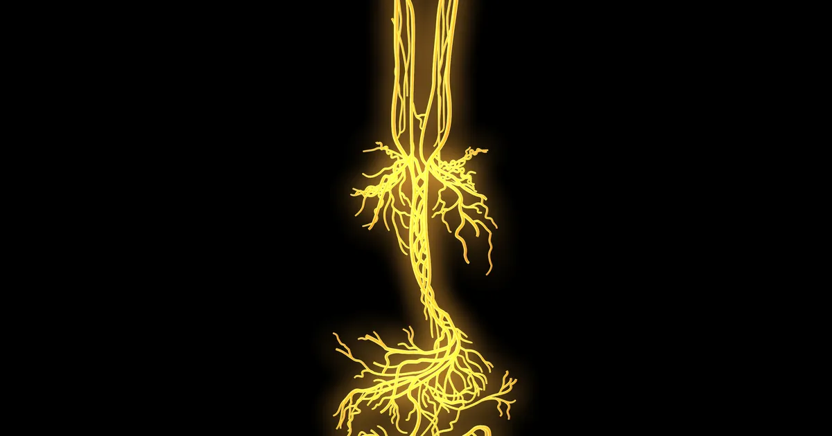 Tõestatud: uus tõhus meetod aitab vabaneda traumajärgsest stressist