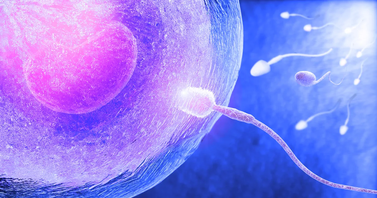 Värske uuring: just see naiselik omadus teeb spermarakkudest tõelised torpeedod