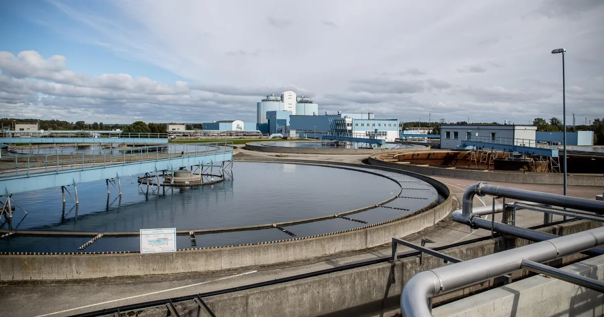 Tööstusharu pea kohal ripub 200 miljoni eurone kohustus. «See on katastroof»