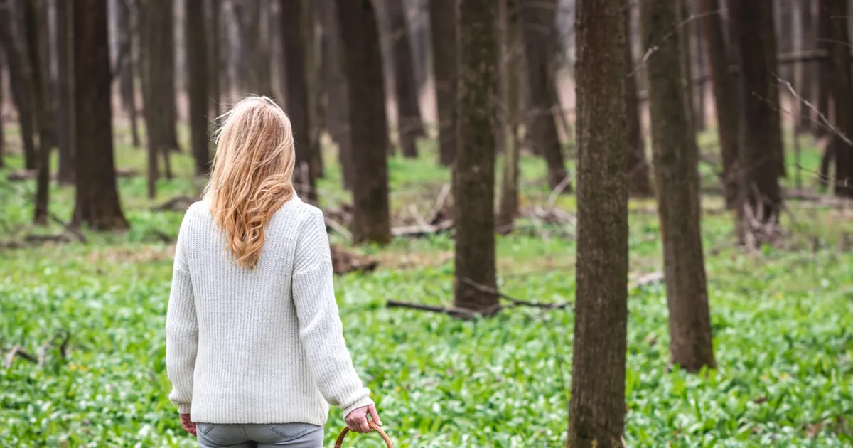 MINE METSA ⟩ 5 kevadist vitamiinipommi, mida juba praegu korjata saab