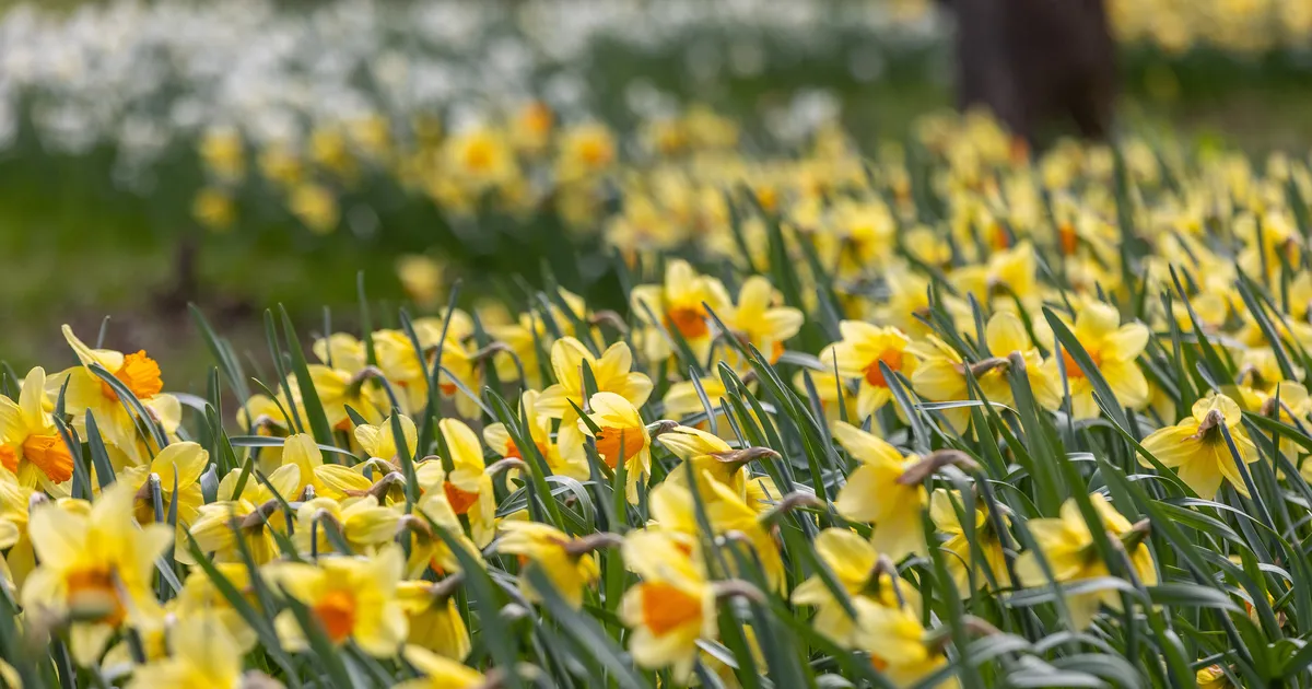 Teisipäeval tuleb kuni 17 kraadi sooja