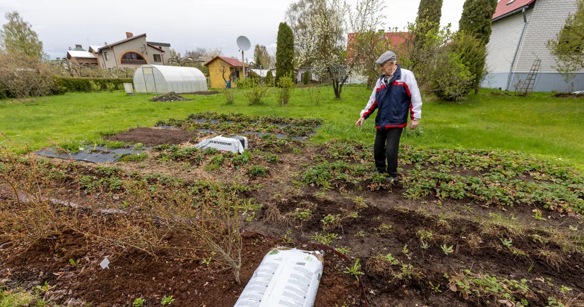 «Kes muu see olla sai?» Tartu pensionär arvab, et karu käis tema aias
