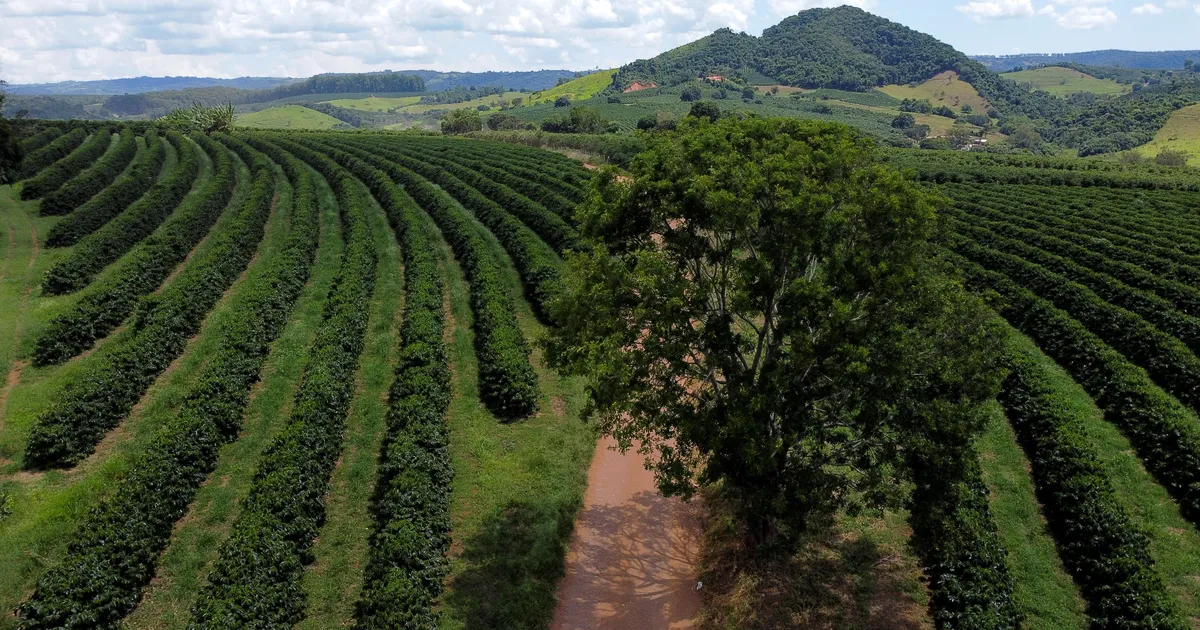 Graafik ⟩ Kohv on kallim kui kunagi varem ja hinnatõusu lõppu veel ei paista