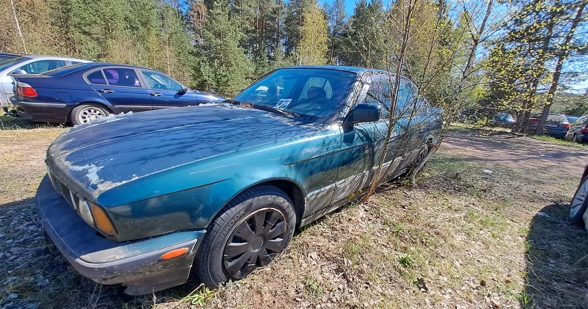 REPORTAAŽ ⟩ Kasepuu juhiukse ees ja kadunud tagarattad. Koidula piiripunkti parklad näevad välja kui autolammutus