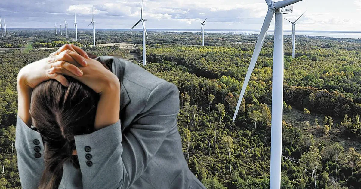 Juurikas. Tuugeni keele kursus algajatele