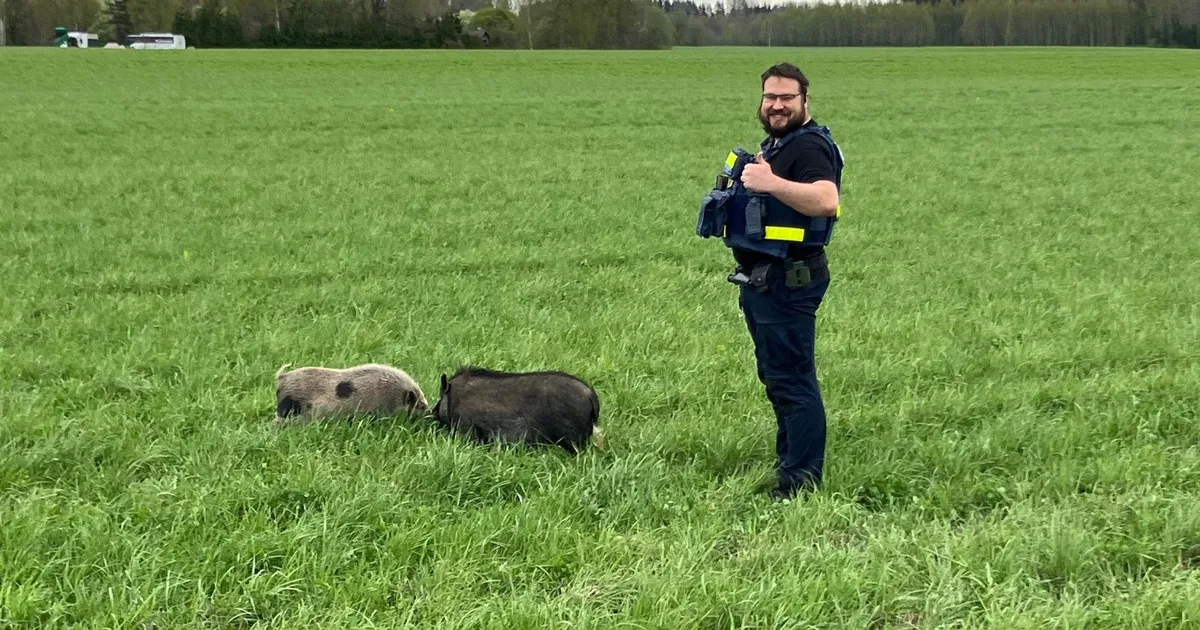 VAHVAD FOTOD ⟩ Võrumaa politseinikud kutsusid korrale kodust plehku pannud notsusid