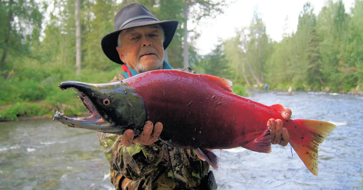 Rahustid ajavad lõhed rahutuks – retseptiravimeid on nende toidulaual lademeis