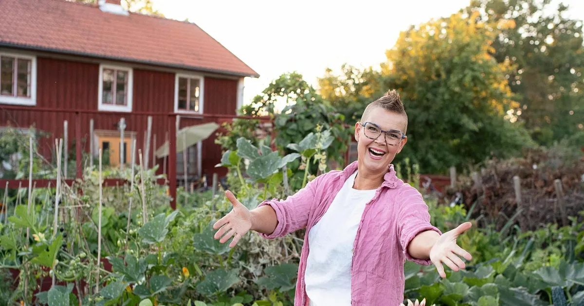 NÄDALA AED ⟩ Eksperiment: kuidas miniaias enam kui 80 kilogrammi köögivilju saada