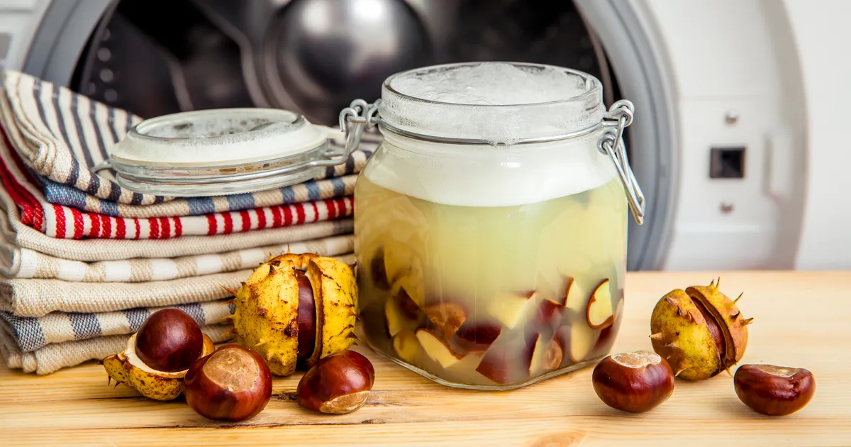 ÕPETUS RAAMATUST ⟩ Loe, kuidas kastanitest pesuvahendit teha