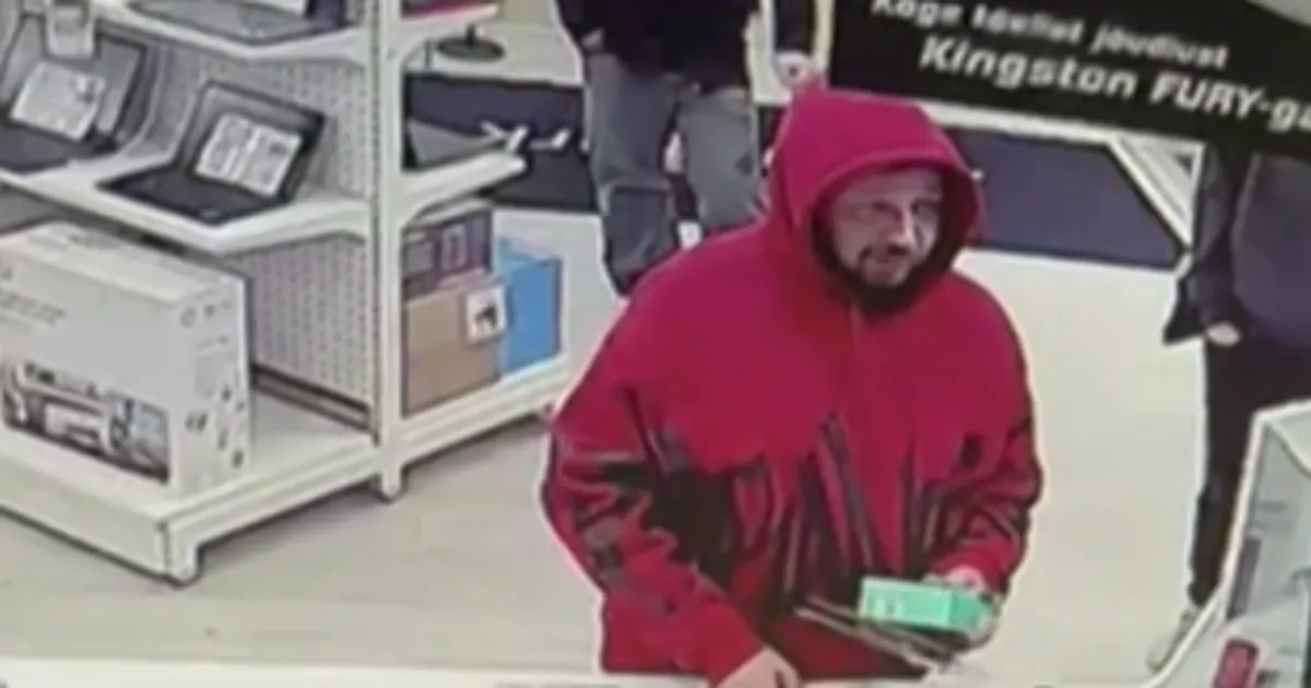 VIDEO ⟩ Kas Kerdo Mölder jäi arvutipoes hiirevargusega vahele? «30 eurot jõuan ma ikka ära maksta!»