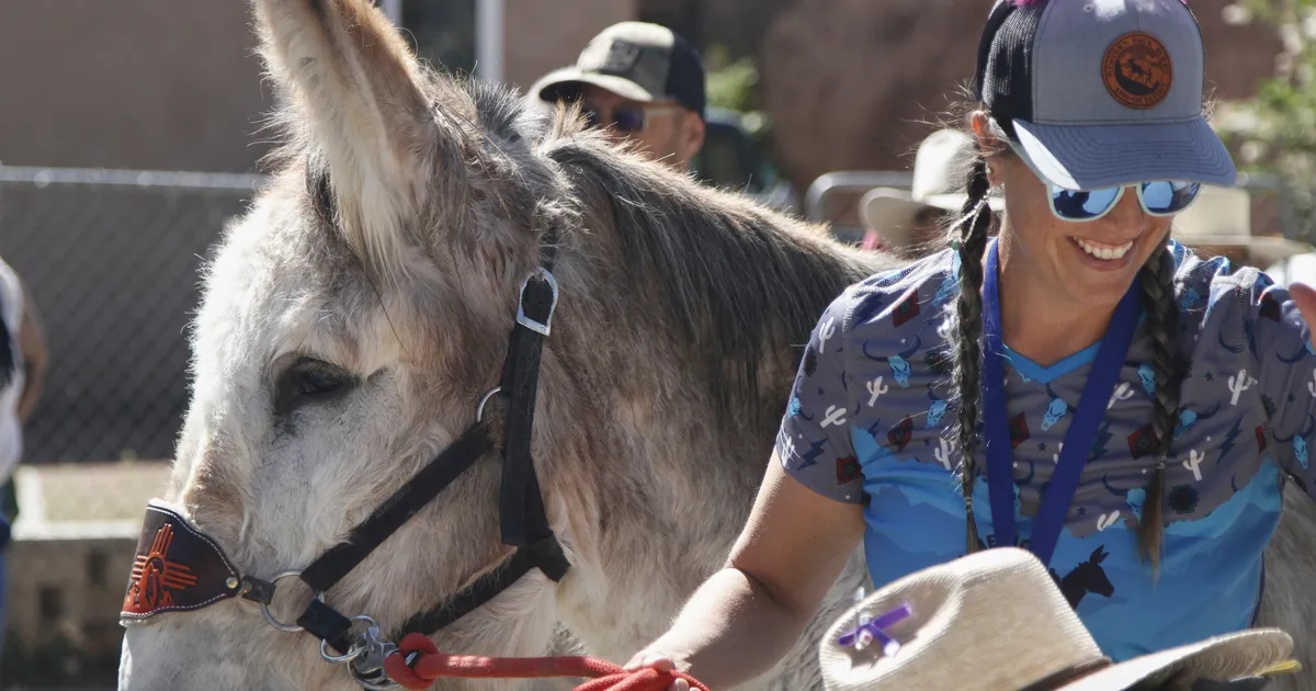 VIDEOLUGU ⟩ Eeslite võidujooks peatas USAs liikluse