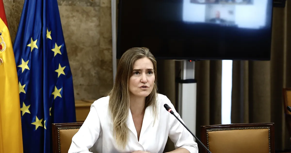 Hispaania valitsus: elektrikatkestuse uurimine võtab aega