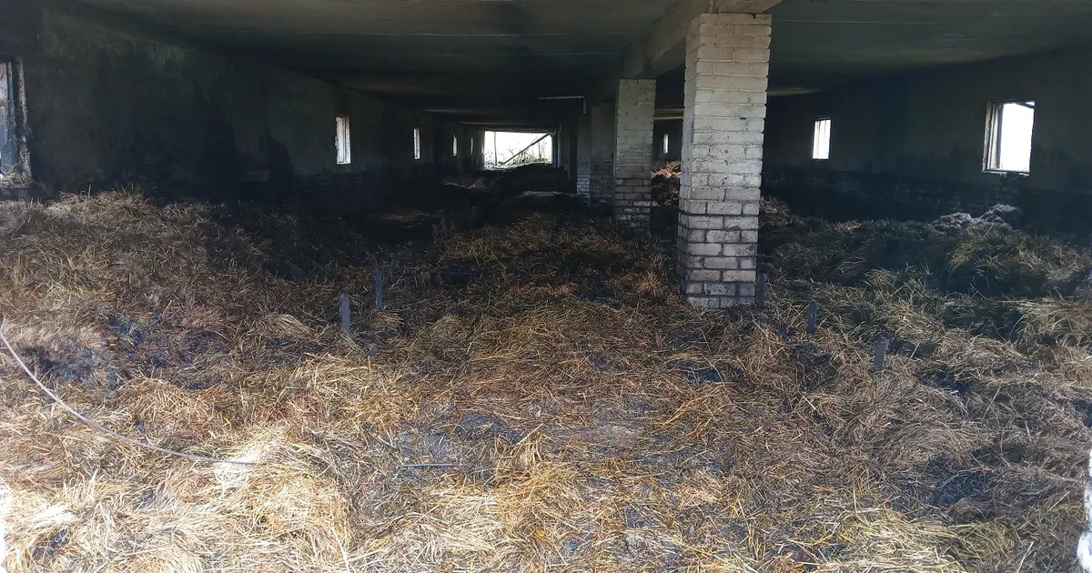 Päev varem põlenud hein võttis taas tuld