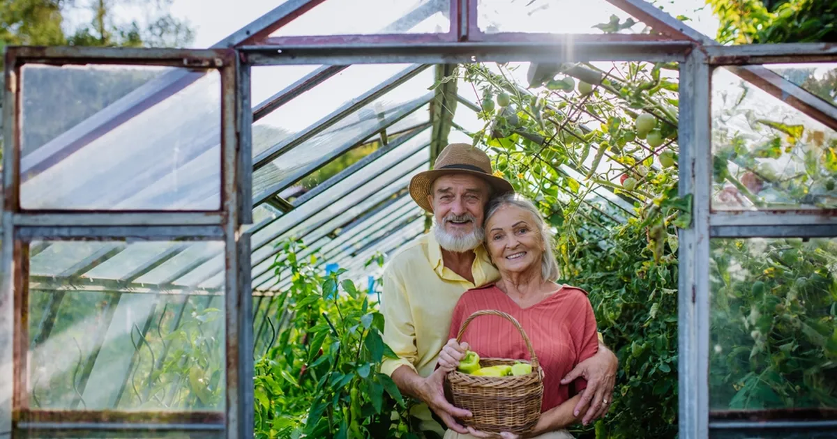 KAS TEADSID? ⟩ See on parim koht, kuhu paprikat istutada