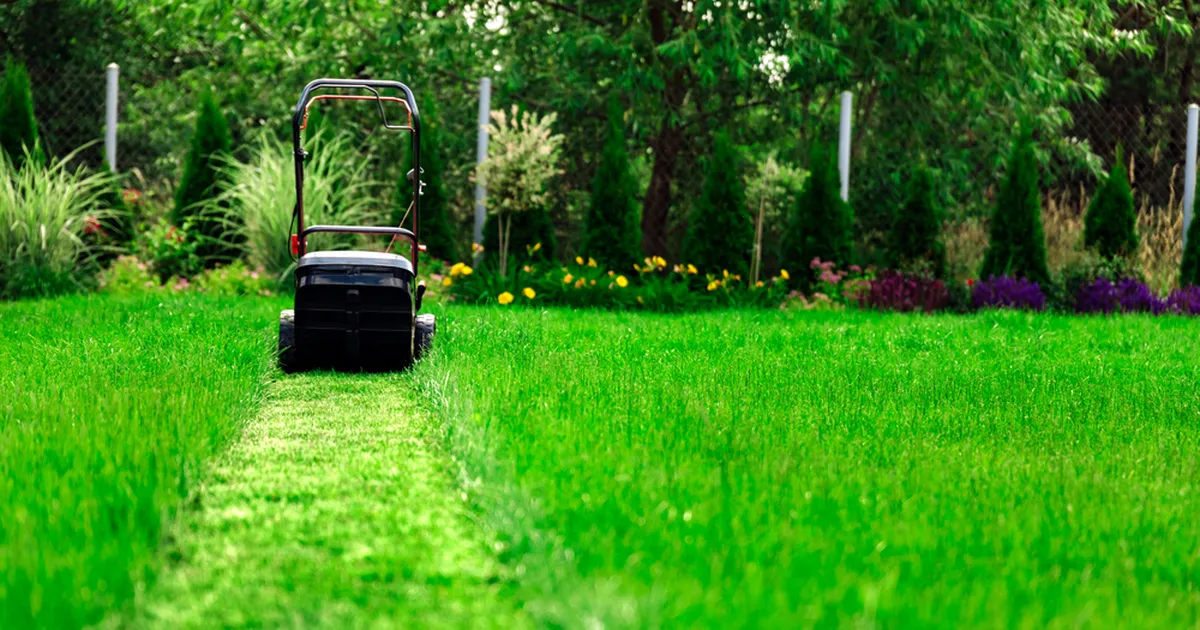 83-aastasest tädist on oma humoorika töövormi tõttu saanud internetisensatsioon