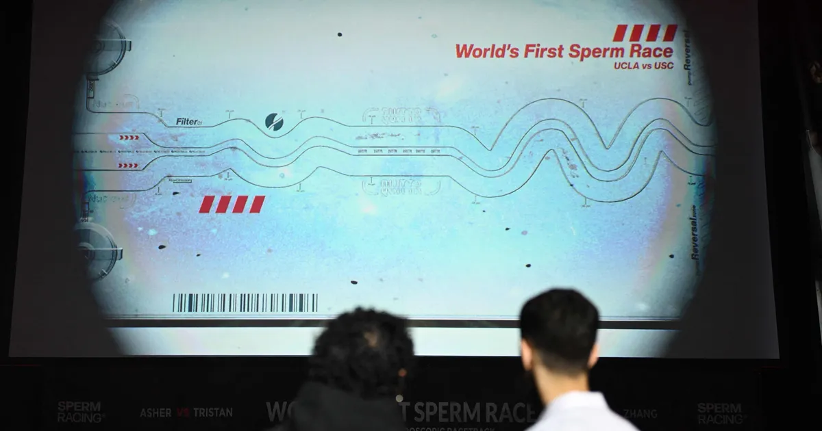 VIDEO ⟩ «Maailma esimene seemnevedeliku võidujooks» sattus kahtluste keerisesse: kas see oli lavastatud?