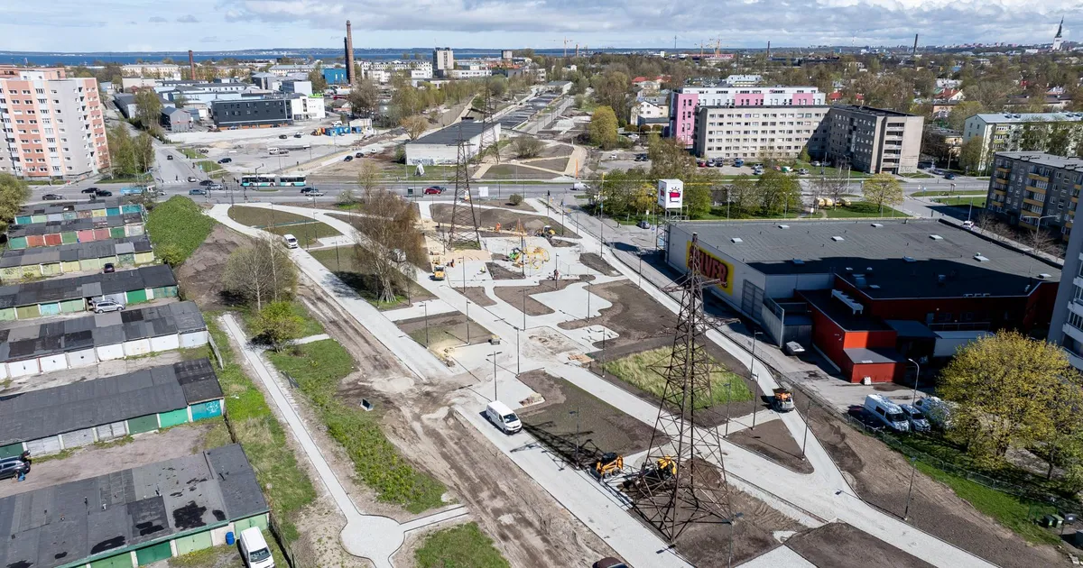 Putukaväila alt leiti hulgaliselt inimluid