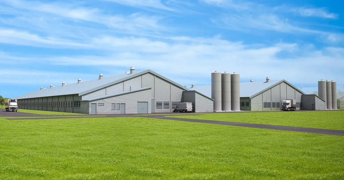 Suurettevõte ehitab Lääne-Virumaale kaks uut kanalat, lindude arv kasvab miljoni võrra