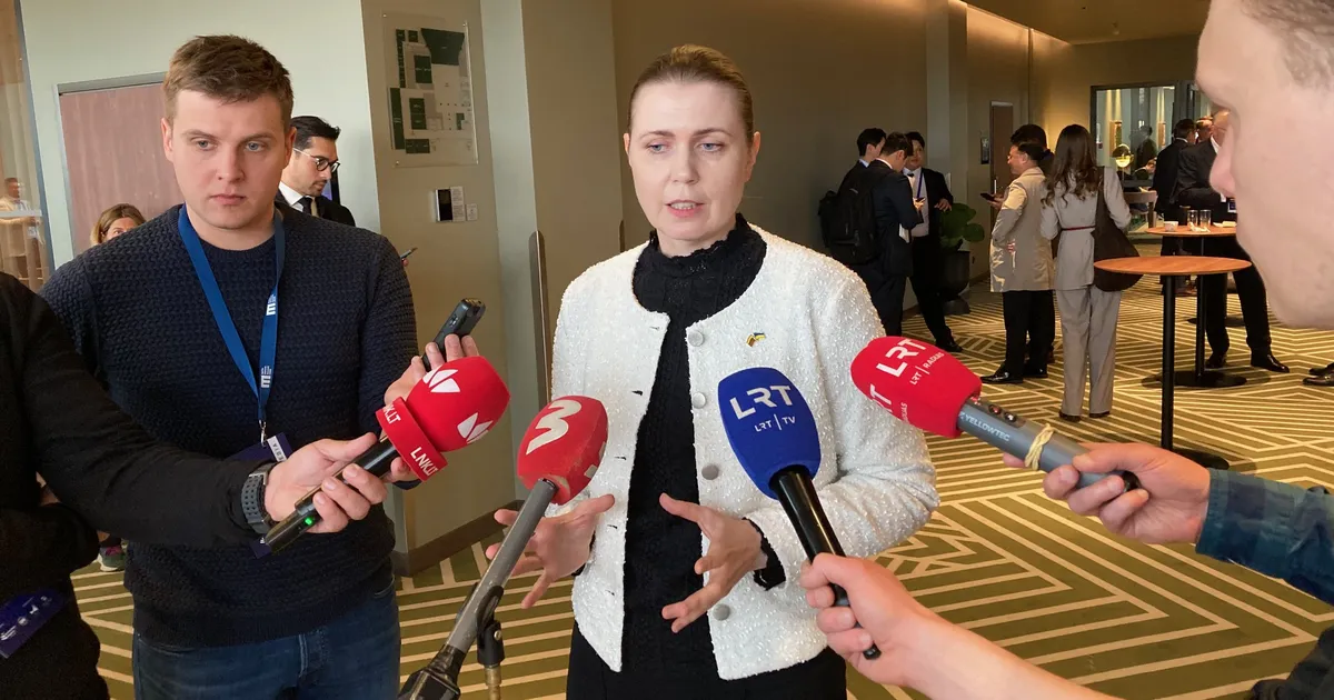 Leedu kaitseminister: Balti riikide relvajõud näevad välja nagu lapitekk ja see on probleem