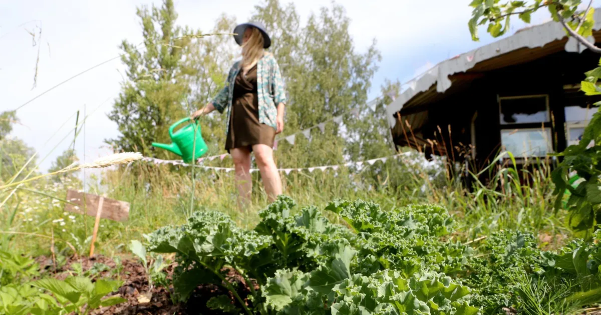 Lugeja küsib ⟩ Kas Pärnus pole ühtegi kogukonnaaeda?