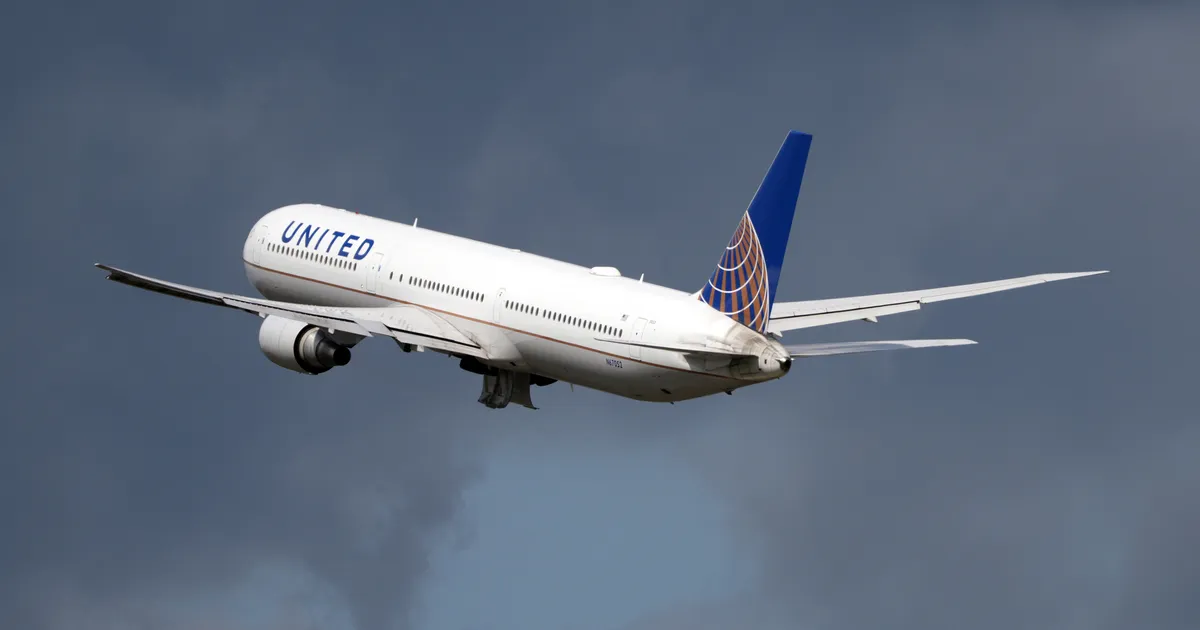 PARDAL NII EI TEHTA ⟩ Lennureisi ajal mõeldamatult käitunud muuseumijuht sattus uurimise alla