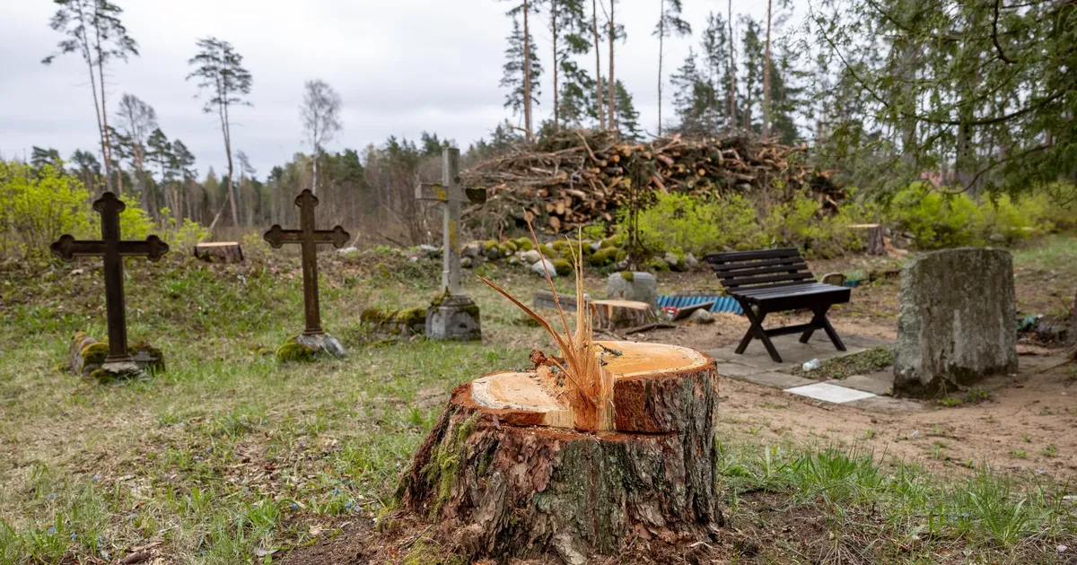 Lääneranna vallas sõideti harvesteriga üle kalmude