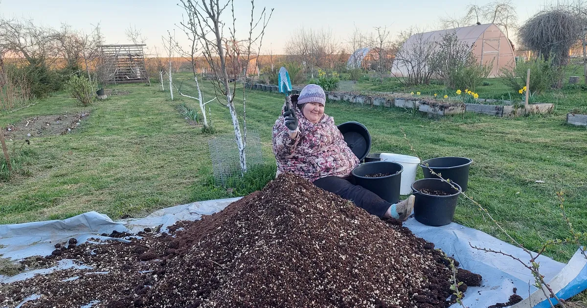 SPETSIALIST SOOVITAB ⟩ Milline mullakott koju tassida?