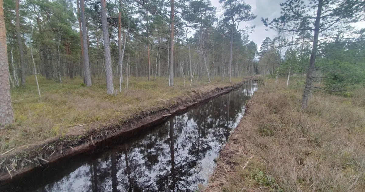 Saaremaad väisanud looduskaitsja avastas eest pinnasekahjustuse