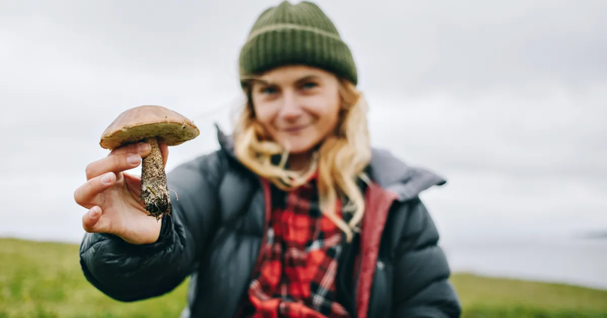 ETTEVAATUST ⟩ 5 kevadseent, mis võivad segamini minna ohtlikult mürgistega
