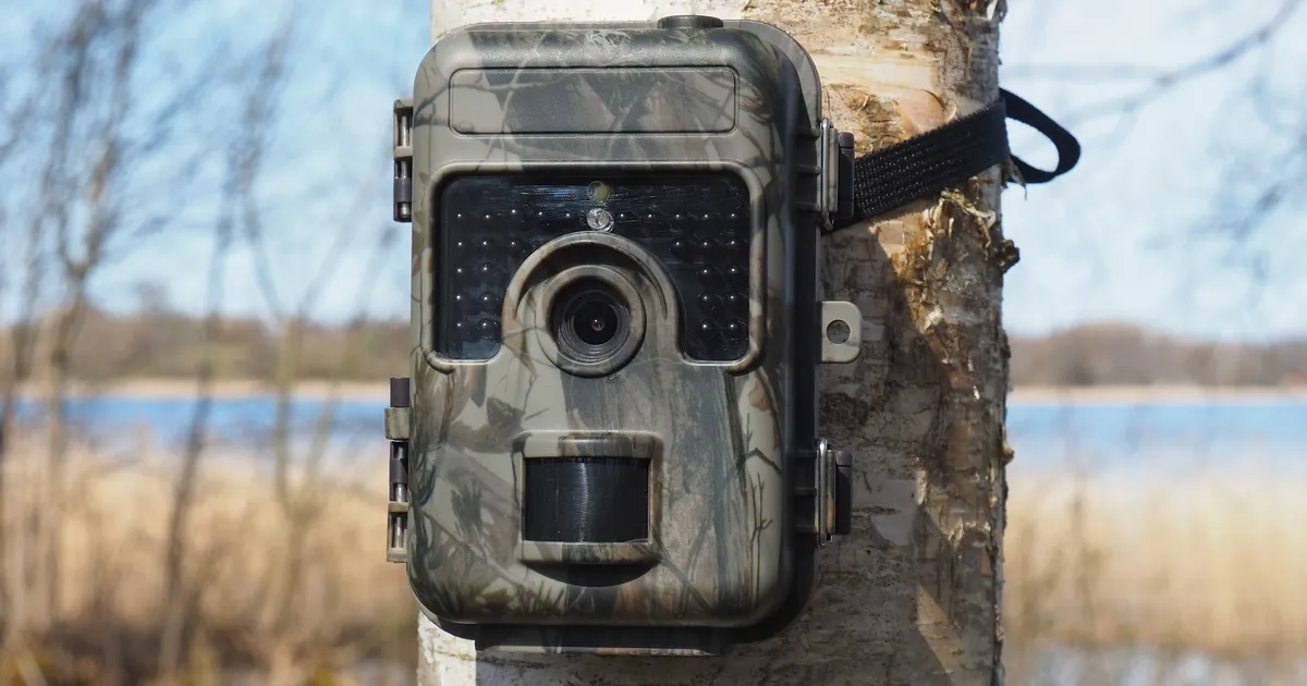 VAATA FOTOT ⟩ Harjumaal jäädvustas rajakaamera haruldase kohtumise kahe kiskja vahel