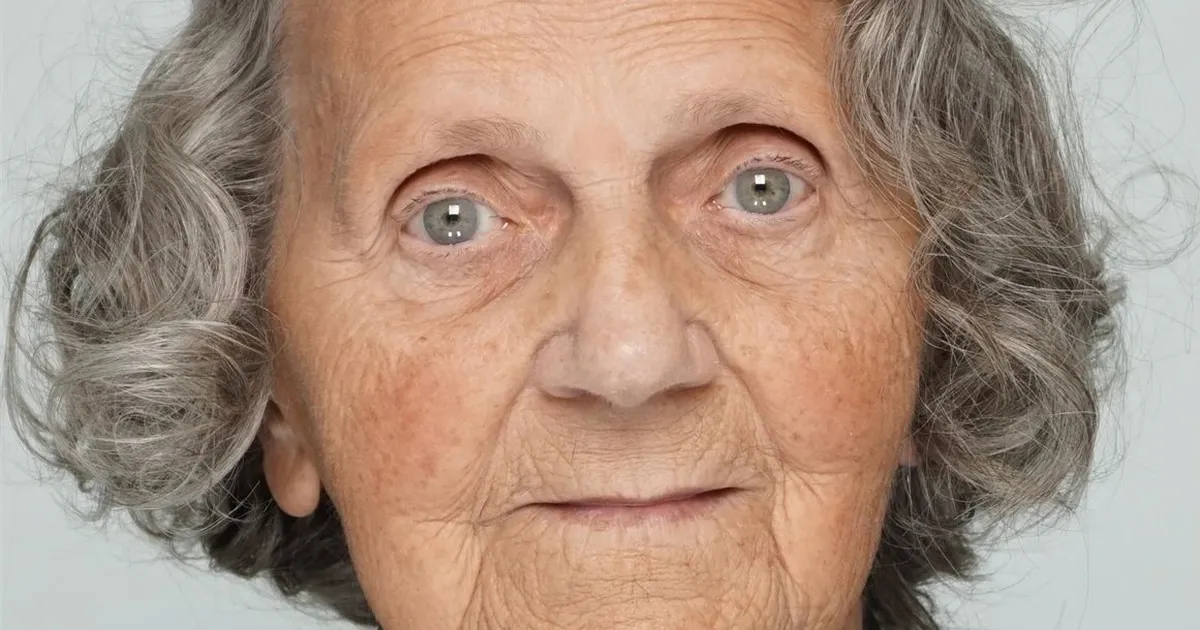 Politsei käivitas Kuusalus otsingud metsa eksinud memme leidmiseks