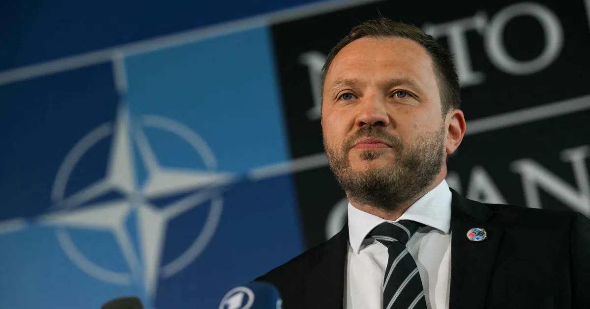 Tsahkna NATO välisministritele: hävitaja juhtum on ehe näide Vene ohust NATO-le