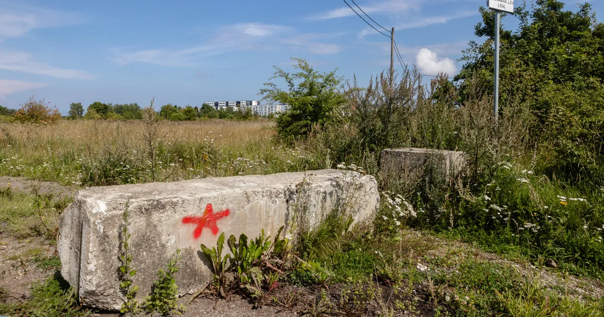 Riik võttis Tallinna ühendhaigla loojatel hoogu maha