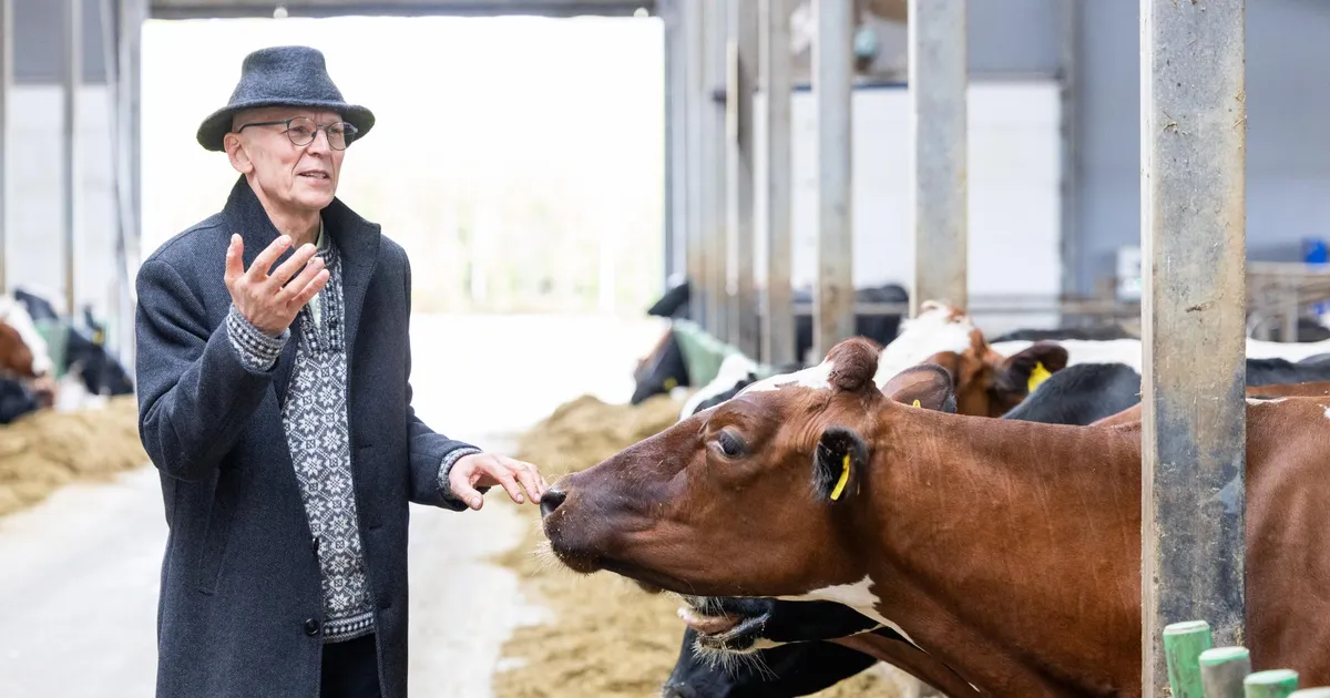 NÄDALA PERSOON ⟩ Eesti puhtaima piima tootja Tiit Niilo: olen nüüd ka tiktokker