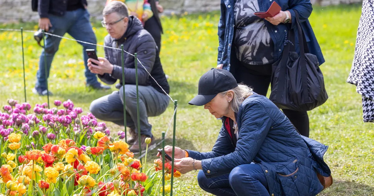 Ilm läheb nädala lõpus taas jahedamaks