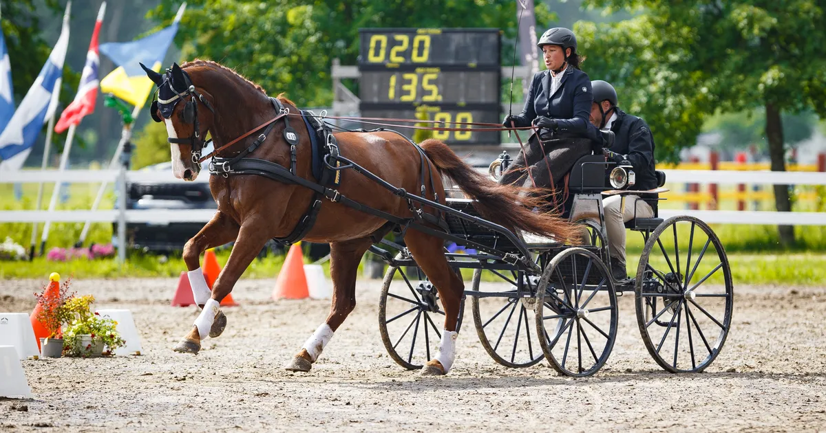 Rahvusvaheline ratsaspordifestival CHI Pärnu võõrustab sportlasi seitsmest riigist