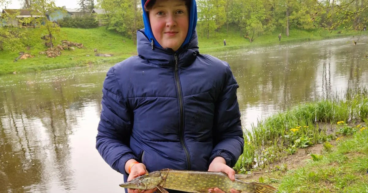 GALERII ⟩ Eesti vanimal kalapüügivõistlusel tõmmati välja ahven, mäherdust pole varem nähtud