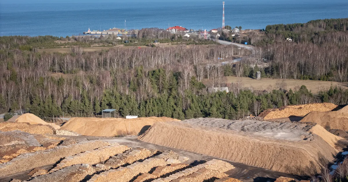 ÜLLE HARJU ⟩ Puidutöösturid tõmbasid valitsusele kaela üüratu jama