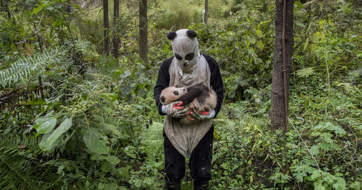 NEW SCIENTIST ⟩ Võimsad fotod jäädvustasid meie planeedi haprust ja vastupidavust