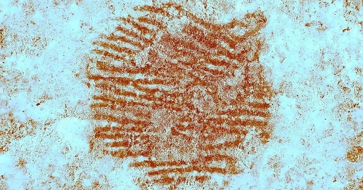 Leiti neandertaali sõrmejälg – kuidas see võimalik on?