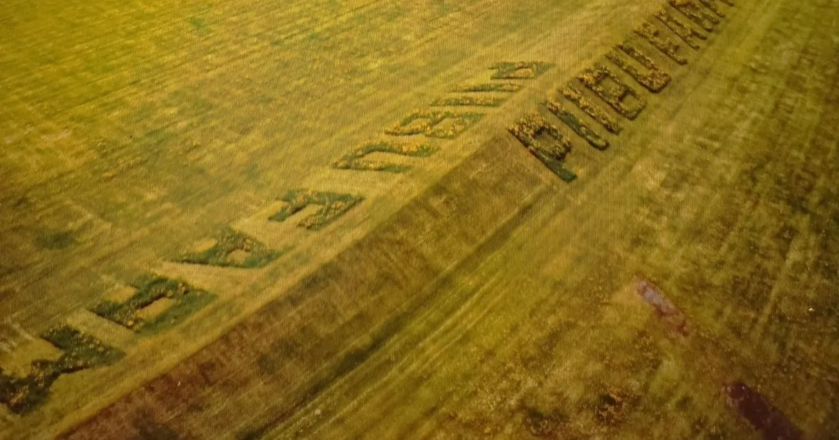 VAHVA MÕTE ⟩ Künnimeister niitis farmi nime lilleilusse