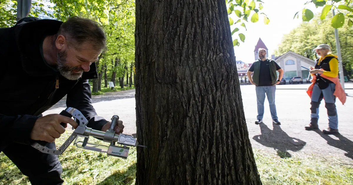FOTOD JA VIDEO ⟩ Tallinnas hakati jalakaid vaktsineerima