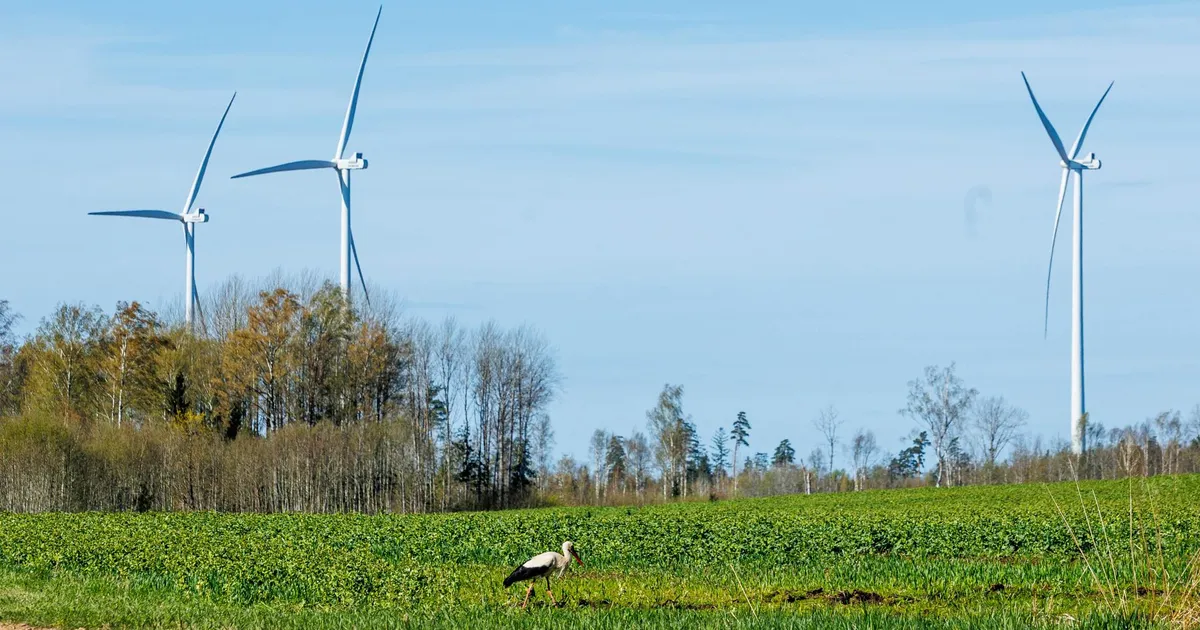Vald palkas tuulikutega võitlema Eesti ühe kallima advokaadibüroo